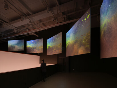 Various artists, Whiria ko te iwi tuna, exhibition view. Courtesy of Govett-Brewster Gallery