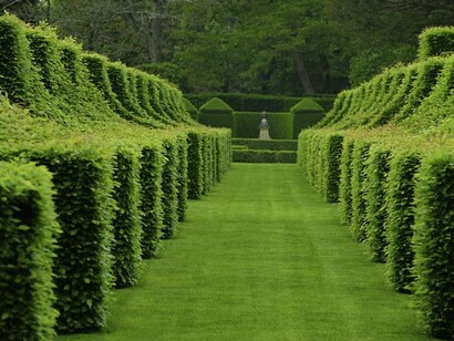 Plinio attribuisce a Gaio Mazio dell’ordine equestre l’invenzione di quest’arte 