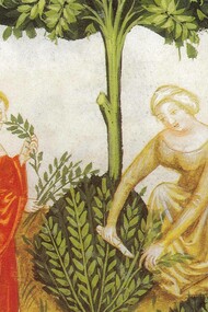 Tacuinum Sanitatis, XIV sec