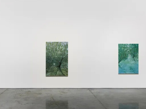 Alia Zaal, In plain sight, exhibition view. Courtesy of Gallery Isabelle