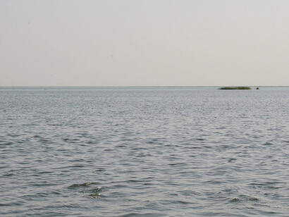 Dalmaj wetland, Afak, Al-Qadissiyah, Iraq