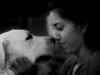 Perros de asistencia para esclerosis múltiple