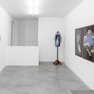 Gayle Chong Kwan, Politics of the gaze, vue de l'exposition. Avec l'aimable autorisation de la galerie Alberta Pane