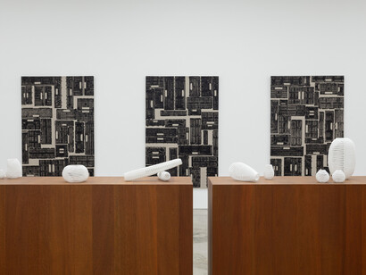 Nicole Coson, Membranes, exhibition view. Courtesy of Silverlens 