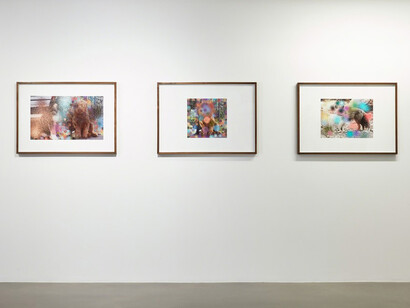 Flora + Fauna. Courtesy of Sadie Coles HQ