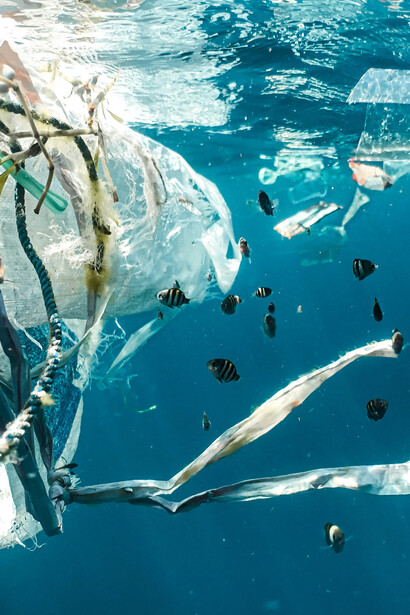 Millones de toneladas de plástico flotan en los mares, alterando corrientes, ecosistemas y cadenas alimentarias marinas