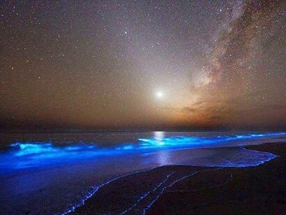 Spiagge luminescenti sulle rive del Makran Chabahar, Balochistan, Iran