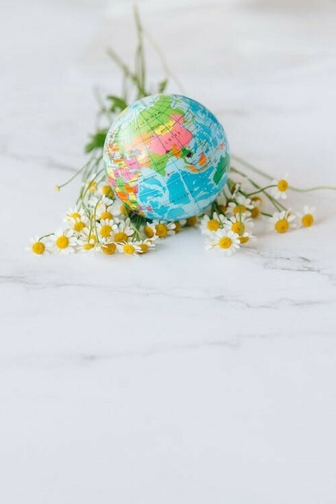A globe with pins attached to it in daisies