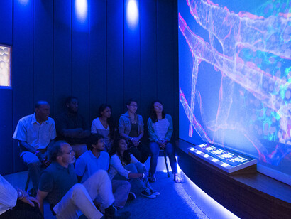 Hall of Human Life. Courtesy of Museum of Science