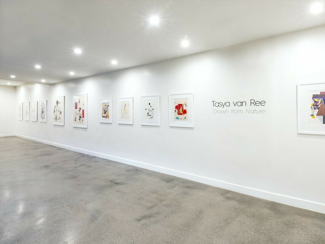 Tasya van Ree, Exhibition view. courtesy of Eric Buterbaugh Gallery