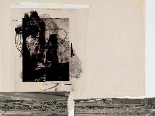 Antony, Blue Jay, n.d., Mixed media, 19.25 x 21.125 inches, 48.9 x 53.7 cm