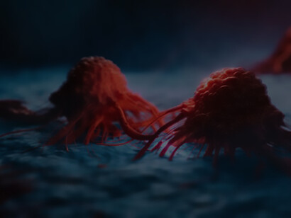 An image of proliferating cancer cells