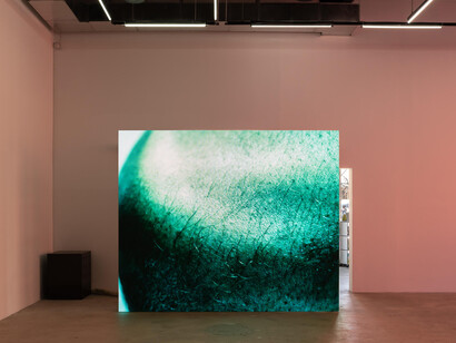 Shahryar Nashat. Courtesy of Swiss Institute