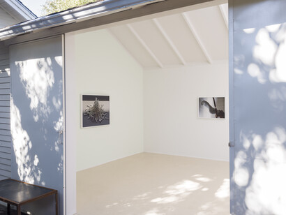 Venetian Otaku, courtesy of Team (bungalow)