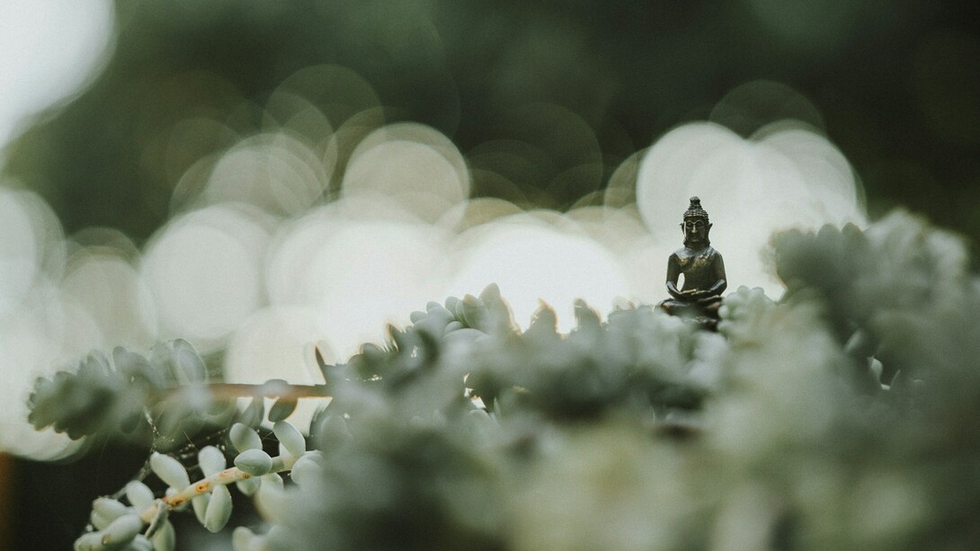 El estado Zen representa una experiencia de absoluta conexión con el presente, libre de intención o esfuerzo consciente