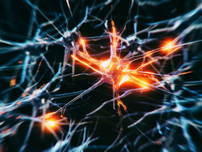 No se entiende cómo la mente puede controlar causalmente el cuerpo