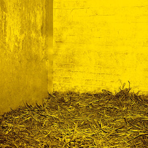 Jonathan Calm, Detail of "Deer Chamber 3", 2013 archival pigment print 16 x 100 inches Edition of 5. Courtesy of LMAKprojects, NY