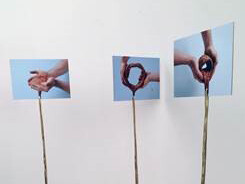 Fotos contam fotos5, Vanderlei Lopes, Música, 2015