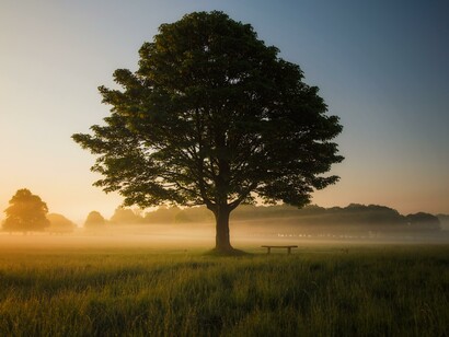 Il vento si abbatte sulle querce. Il suono del flauto annuncia la danza nel cerchio del sole