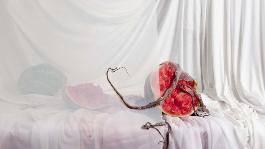 Offal. Courtesy of ABXY