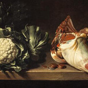 Richard Waitt, Still-Life