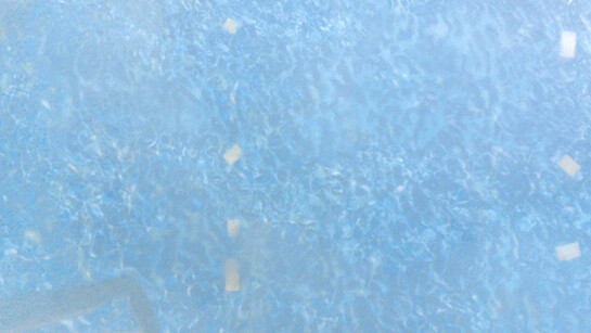 Martine Poppe, Analogical change #30 (Pool), 285 x 160 cm