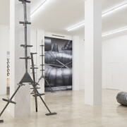 Ana Lupas, Armature, veduta della mostra. Cortesia di P420