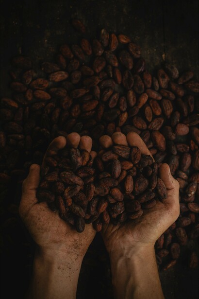 Cocoa beans