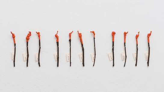 Gabriela Albergaria. Courtesy of Galeria Vera Cortês