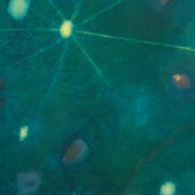 Loren Erdrich, Arc I (detail), 2026. Courtesy of Shrine 