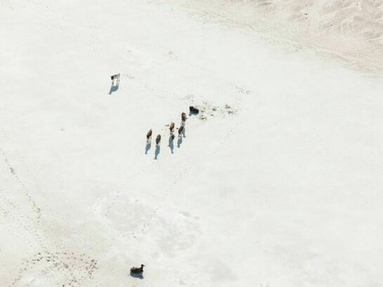 Zack Seckler, Moving West 2009