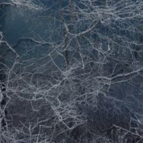 Landscapes. Courtesy of Purdy Hicks Gallery