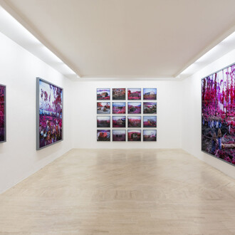 In a light breeze, exhibition view. Courtesy of Fondazione Memmo