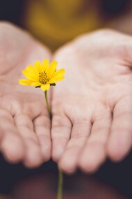La mindfulness inizia quando smettiamo di dare per scontato ciò che viviamo ogni giorno