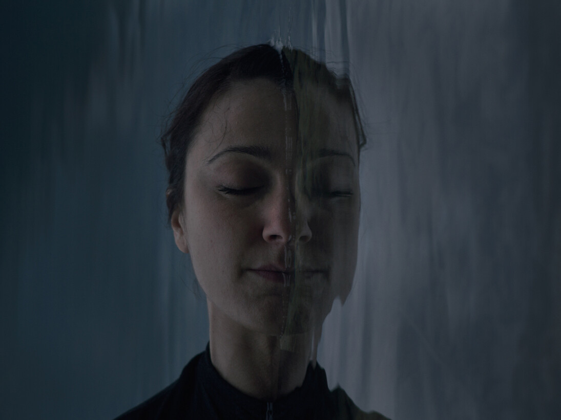 Roberta Segata, Il buio oltre la siepe, 2015