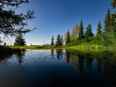 Hopefully, through the campaign, people will move to action in the preservation of these ecosystems