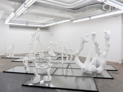 Vanessa da Silva, Assembly Points, Installation Shot, 2020. Courtesy PUBLIC Gallery