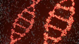 La double hélice de l'ADN, la structure fondamentale qui encode le plan de la vie, révélant l'essence de l'information génétique