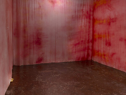 Clara Sánchez Sala, Del marfil al color hígado, vista de exhibición. Cortesía de la Galería NF/Nieves Fernández 