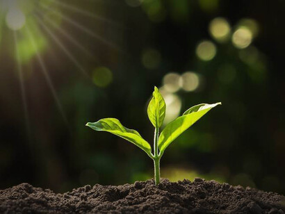 The LCA concept is essential for a proper perspective at human activities being compatible with the requirements of sustainable business and way of life