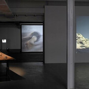 Anna Winteler. Courtesy of Kunsthaus Baselland