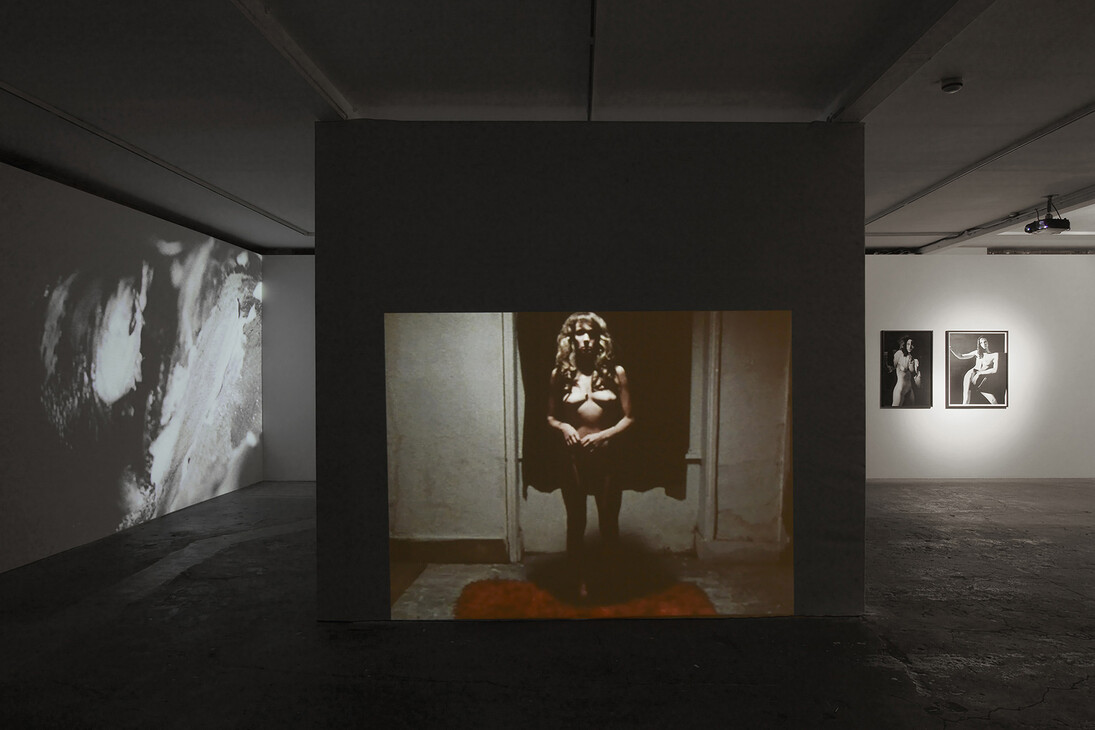 Stephen Dwoskin, 2015, Vilma Gold, London, installation view