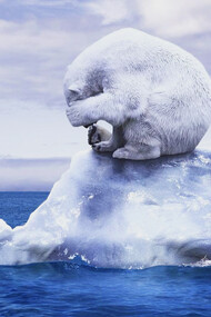 Ecologists, activists and scientists are not satisfied with the current situation
