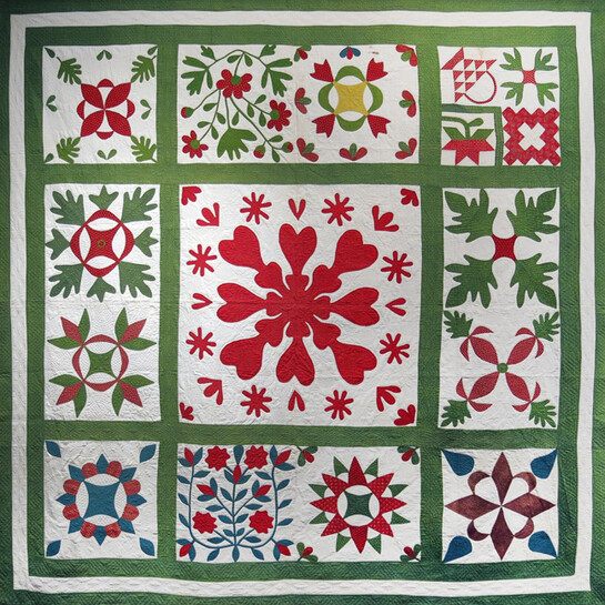 Album Quilt with Central Medallion and Various Motifs