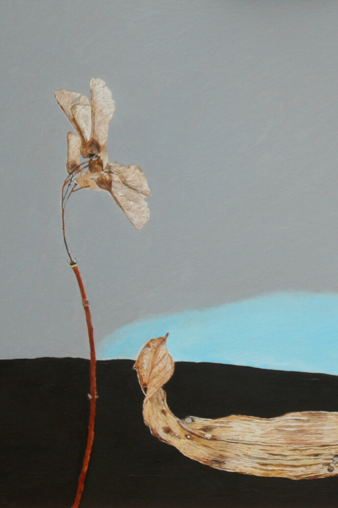 Jocelyn Clarke, Landscape with Sycamore Seeds, 2015, 26 x 30 cm, oil on board     
