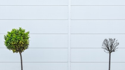  Harmonia dos contrários 