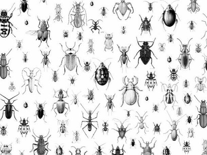 Jasmina Cibic, Fruits of Our Land, 2013 wallpaper (detail)