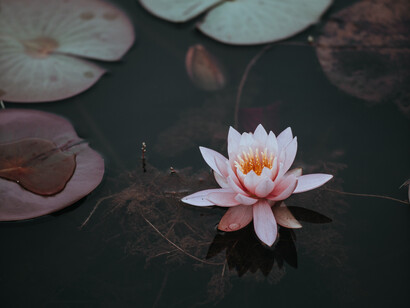 Il prāṇāyāma può diventare un potente antistress
