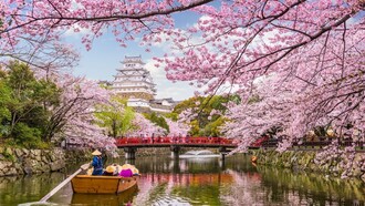 Japan is one of the main representatives of market capitalism