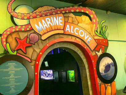 Marine Alcove. Courtesy of Science Centre